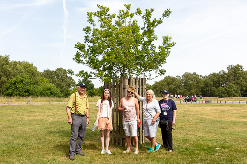 Prince Harry's Oak 