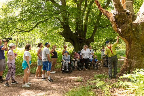 Epping Forest