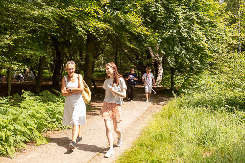 A stroll in Epping Forest