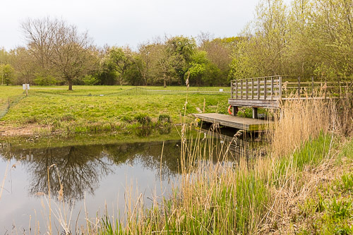 Grange Farm Pond