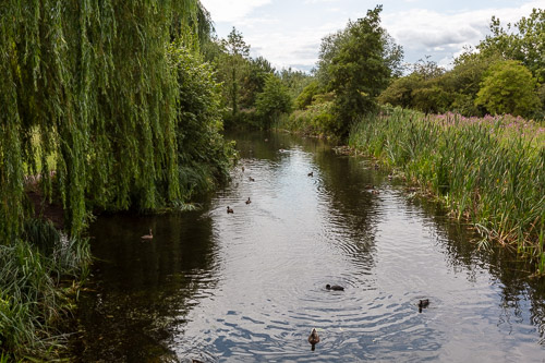 Men's Shed Nature Walk