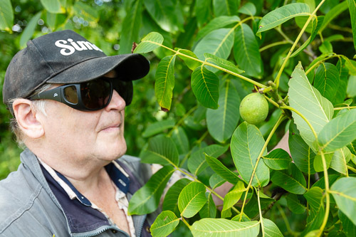 Men's Shed Nature Walk