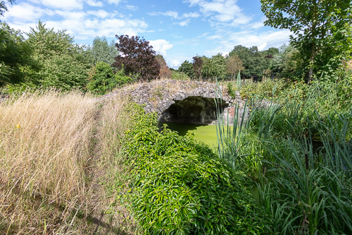 Men's Shed Nature Walk