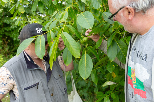 Men's Shed Nature Walk