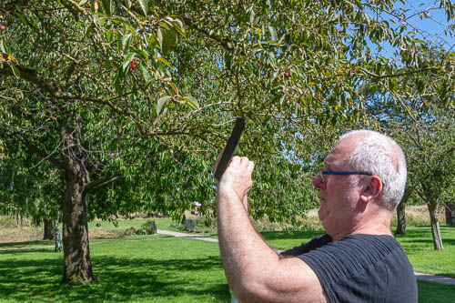 Men's Shed Nature Walk