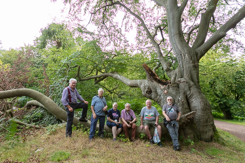 Men's Shed Nature Walk