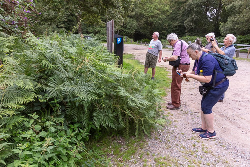 Men's Shed Nature Walk