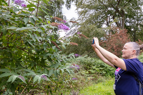 Men's Shed Nature Walk