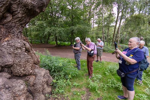 Men's Shed Nature Walk