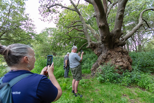 Men's Shed Nature Walk